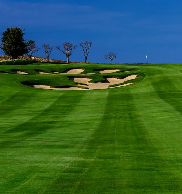 sân golf kn golf links cam ranh